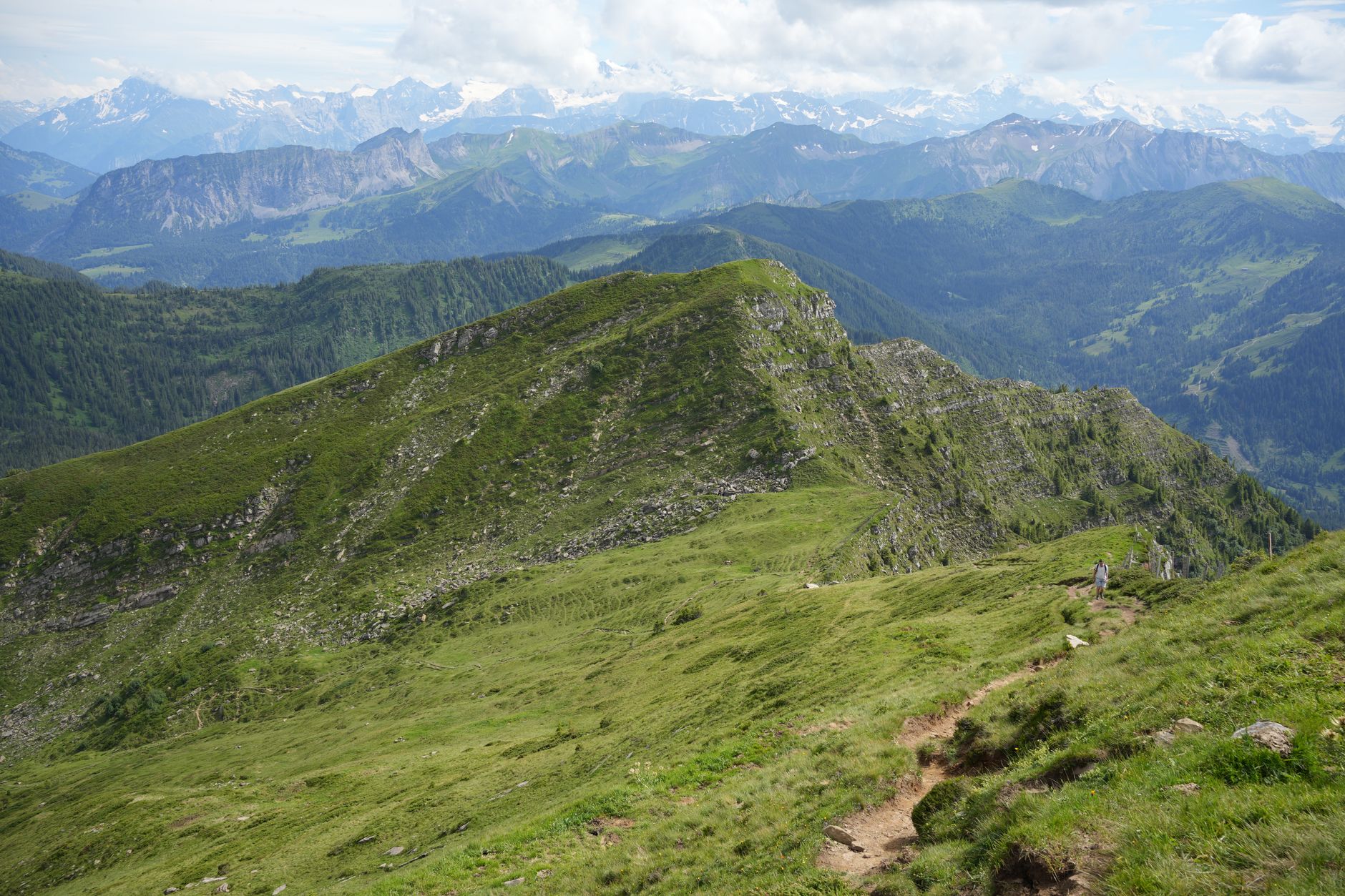 Coureurs sur sentier technique Trail de Faverges Massif des Bauges
