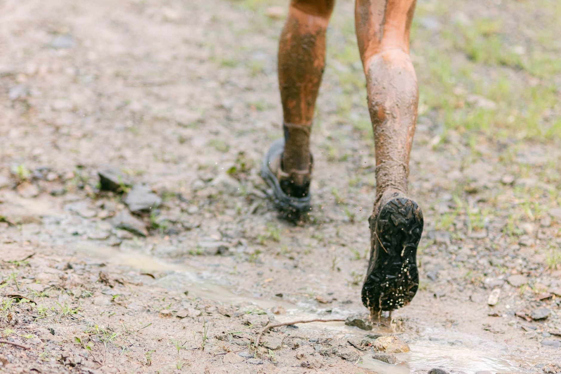 Brooks Cascadia 18 sur sentier forestier de trail