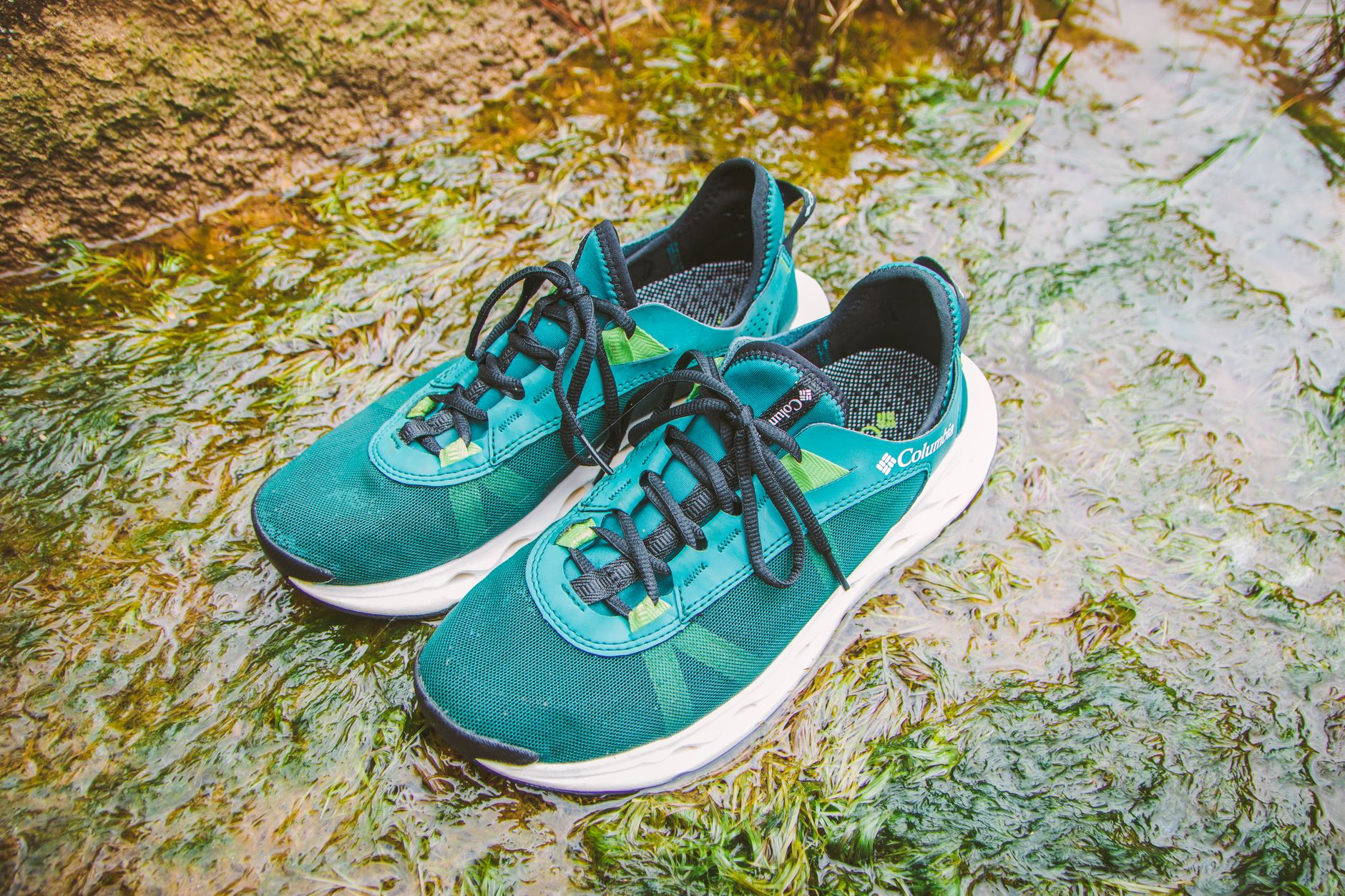 Altra Olympus 6 chaussure trail maximaliste drop zéro sentier